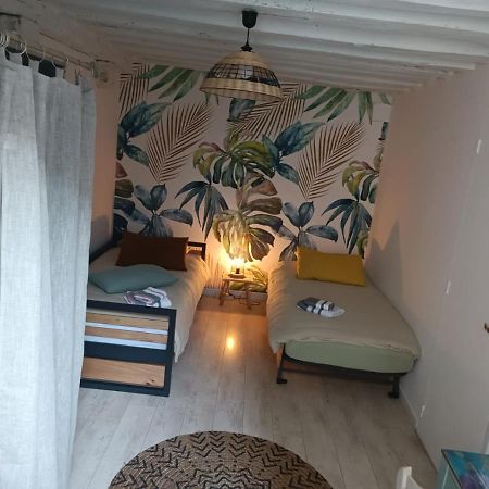 Le Logis De La Rue Des Arts Apartment Blois Exterior photo