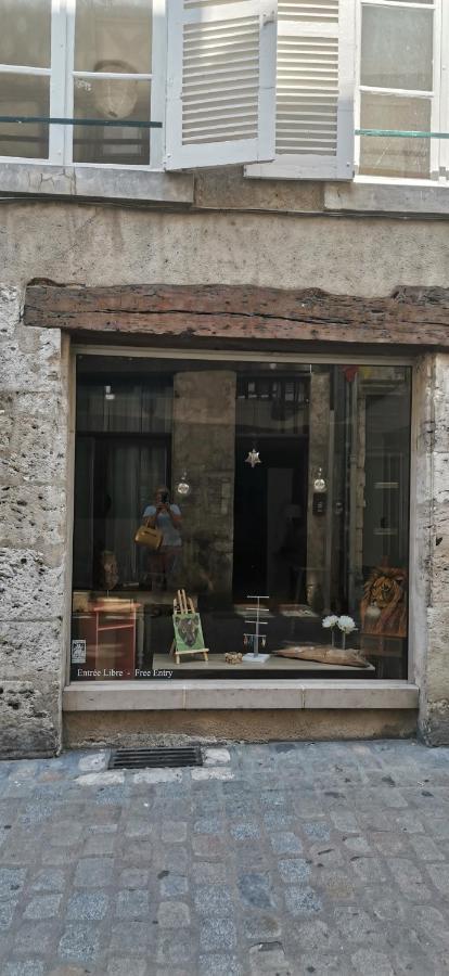 Le Logis De La Rue Des Arts Apartment Blois Exterior photo