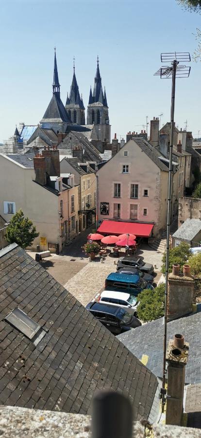 Le Logis De La Rue Des Arts Apartment Blois Exterior photo