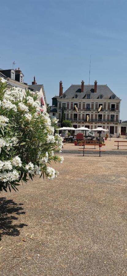 Le Logis De La Rue Des Arts Apartment Blois Exterior photo