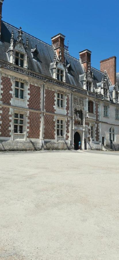 Le Logis De La Rue Des Arts Apartment Blois Exterior photo